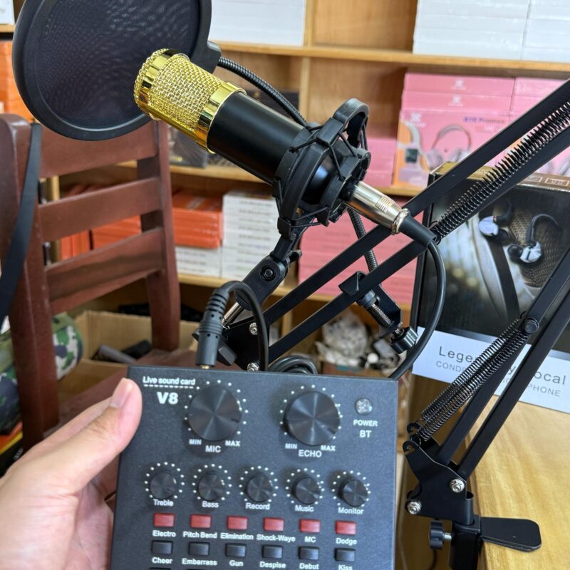 Kit Microphone à Condensateur Professionnel (Type BM-800)