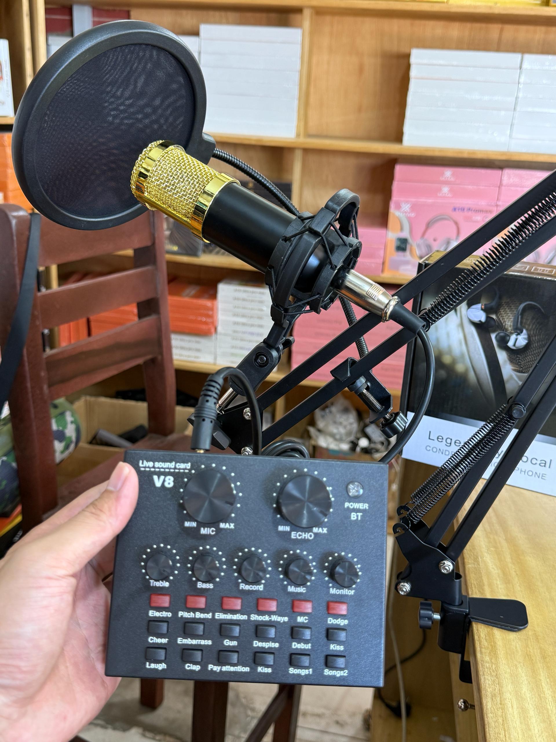 Kit Microphone à Condensateur Professionnel (Type BM-800)